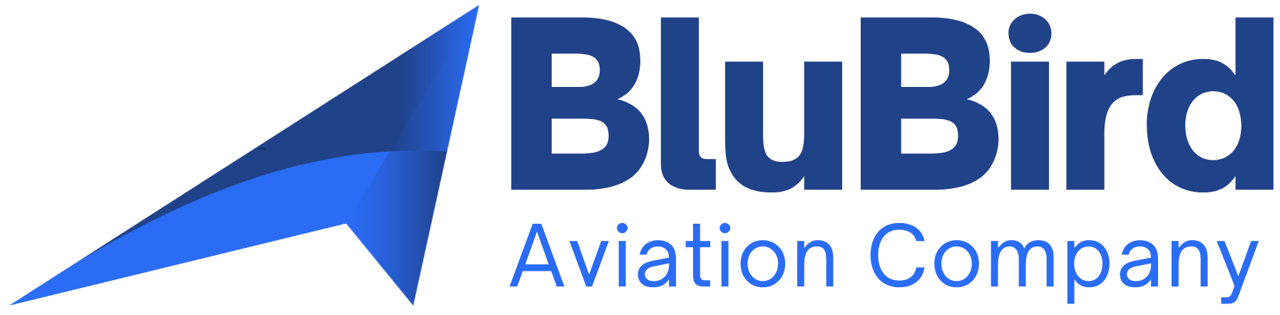 Blue Modern Company Profile Presentation (2)